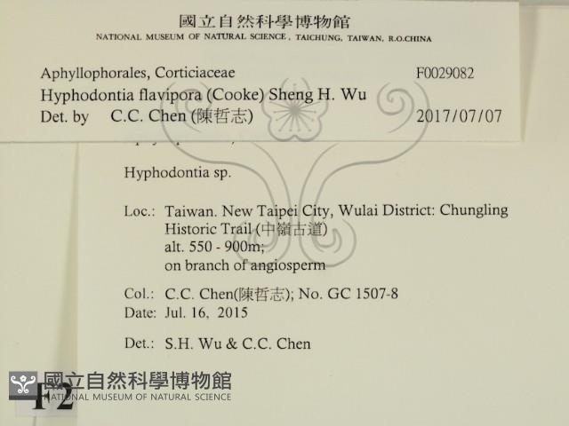 登錄號:F0029082藏品圖，第2張