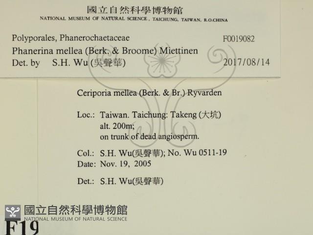 登錄號:F0019082藏品圖，第2張