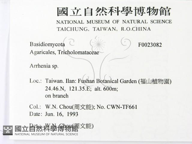 登錄號:F0023082藏品圖，第2張