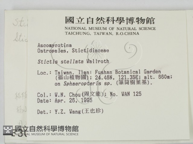 登錄號:F0003082藏品圖，第2張