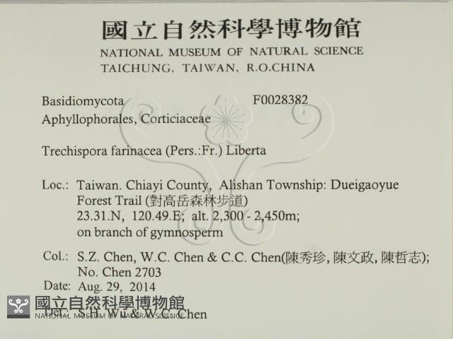 登錄號:F0028382藏品圖，第2張