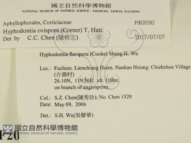 登錄號:F0020382藏品圖，第2張