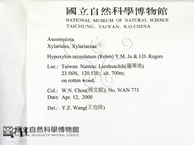 登錄號:F0010382藏品圖，第2張