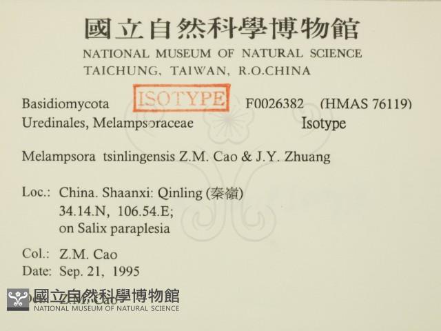 登錄號:F0026382藏品圖，第2張