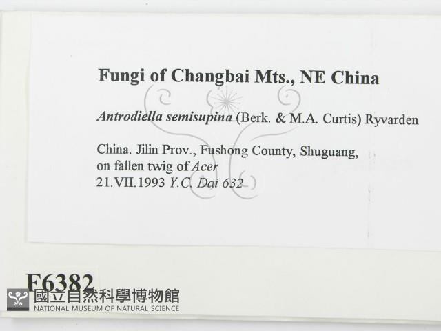 登錄號:F0006382藏品圖，第2張