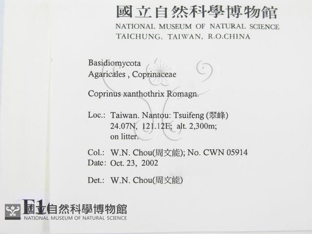 登錄號:F0016382藏品圖，第2張