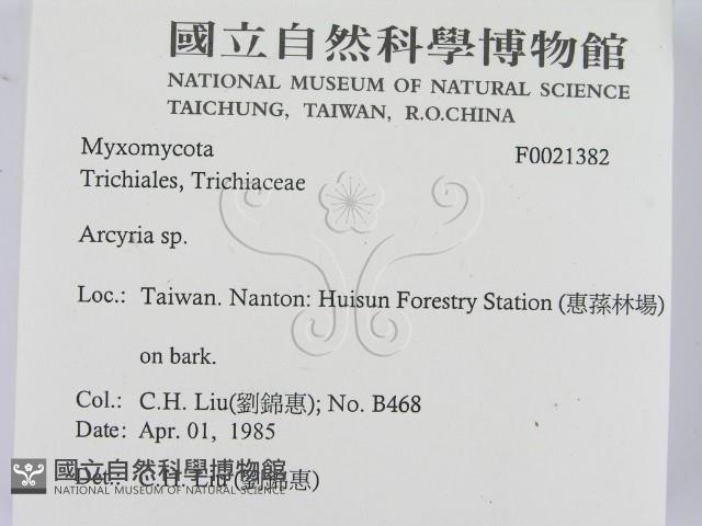 登錄號:F0021382藏品圖，第2張