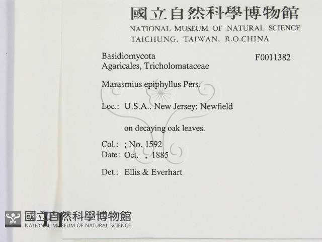 登錄號:F0011382藏品圖，第2張