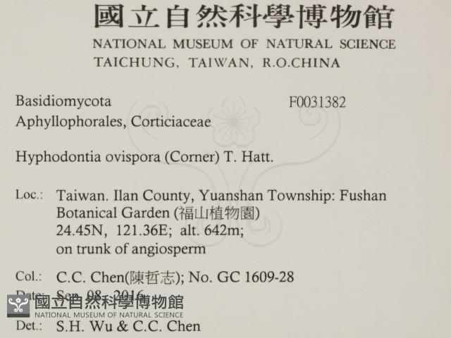 登錄號:F0031382藏品圖，第2張