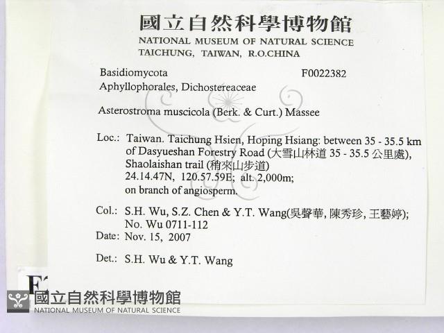 登錄號:F0022382藏品圖，第2張