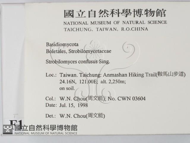 登錄號:F0012382藏品圖，第2張