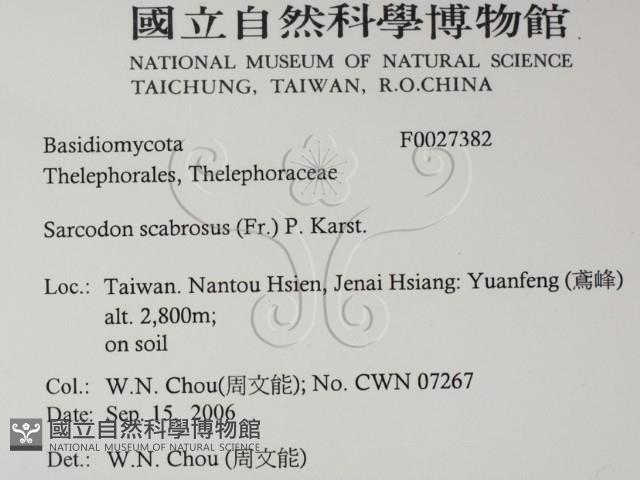 登錄號:F0027382藏品圖，第2張