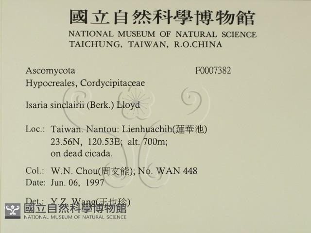登錄號:F0007382藏品圖，第2張