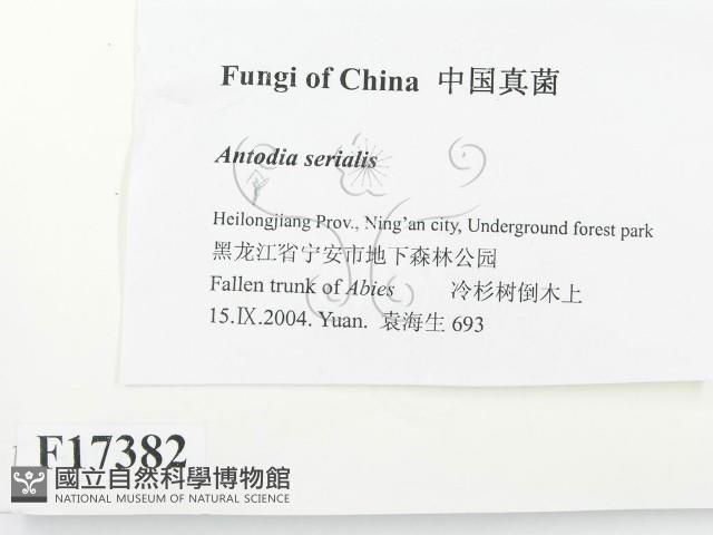 登錄號:F0017382藏品圖，第2張