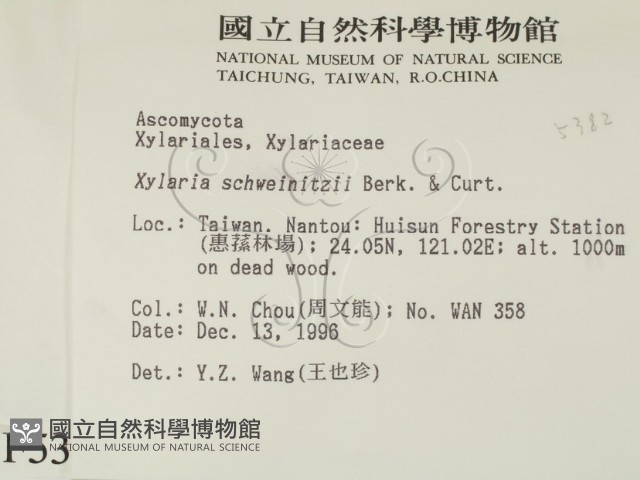 登錄號:F0005382藏品圖，第2張