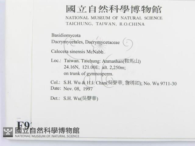 登錄號:F0009382藏品圖，第2張