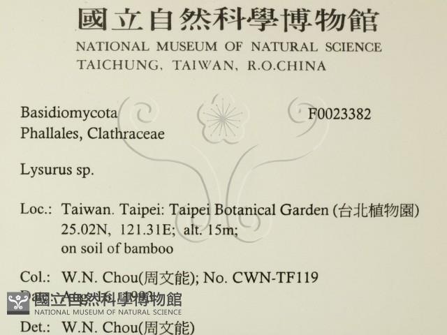 登錄號:F0023382藏品圖，第2張