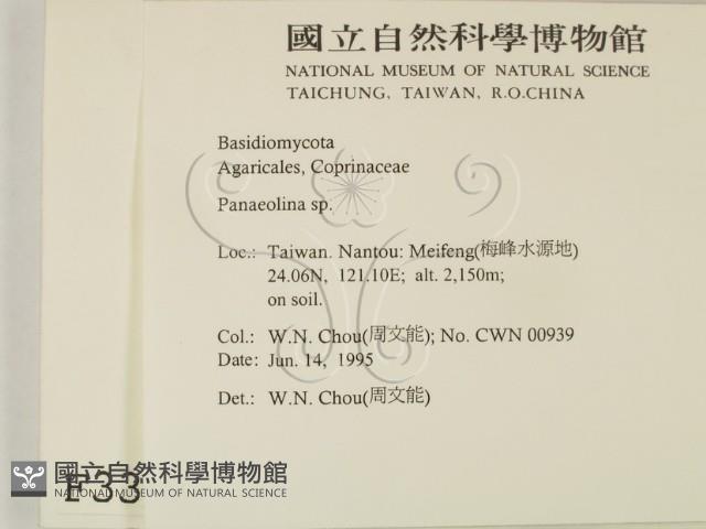 登錄號:F0003382藏品圖，第2張