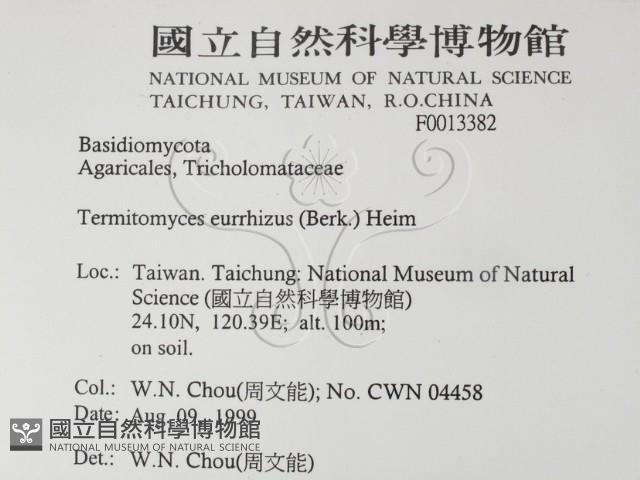 登錄號:F0013382藏品圖，第2張