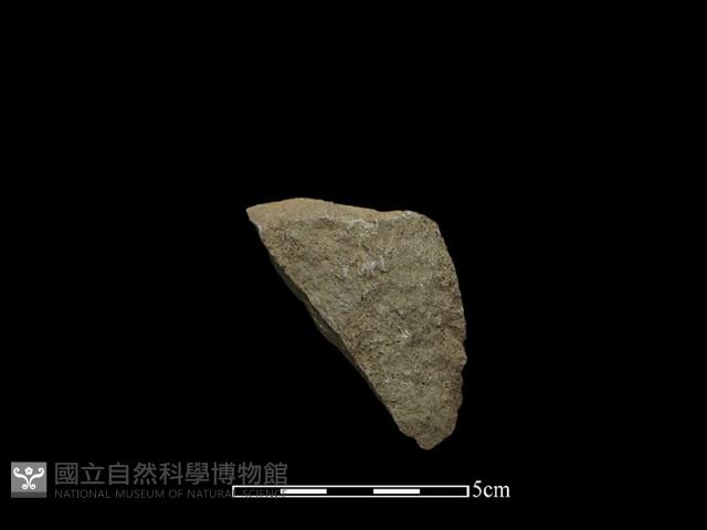 斧鋤形器藏品圖，第1張