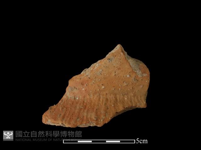 陶罐藏品圖，第1張