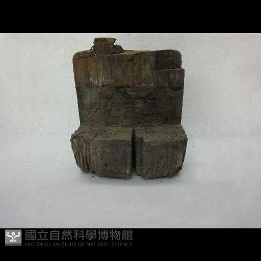 木構建藏品圖，第1張