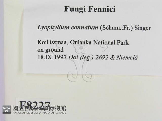 登錄號:F0008227藏品圖，第2張