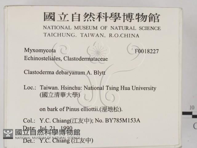 登錄號:F0018227藏品圖，第2張