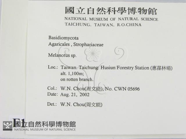 登錄號:F0016227藏品圖，第2張