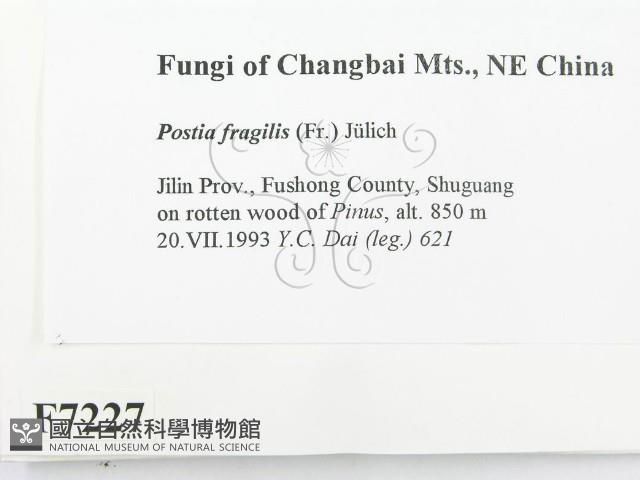 登錄號:F0007227藏品圖，第2張