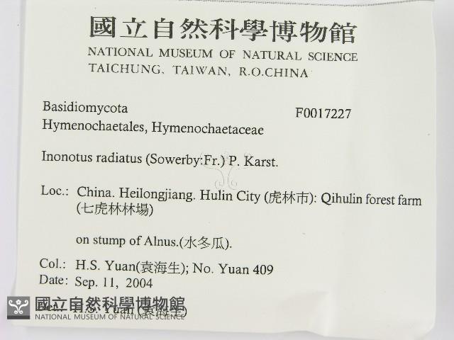 登錄號:F0017227藏品圖，第2張