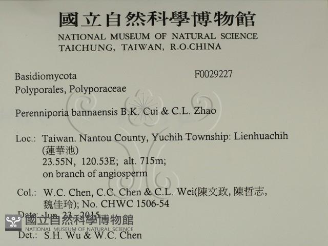 登錄號:F0029227藏品圖，第2張