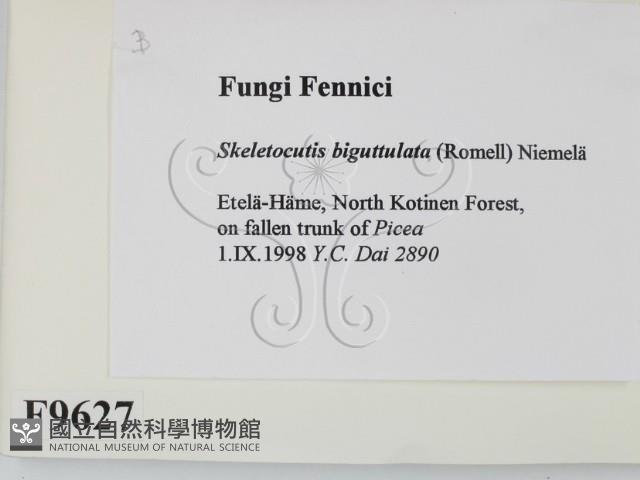 登錄號:F0009627藏品圖，第2張