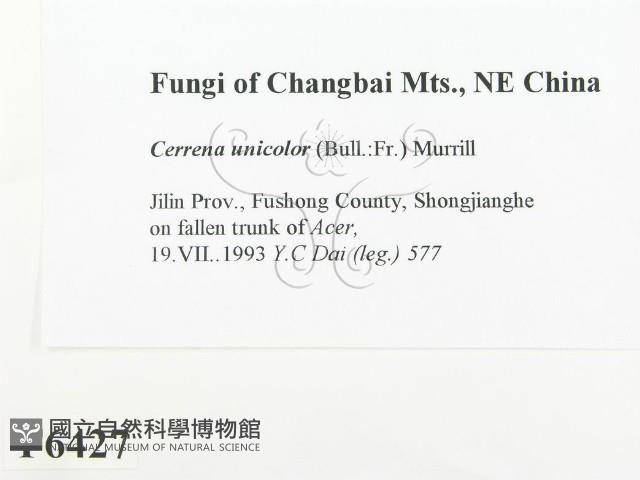 登錄號:F0006427藏品圖，第2張