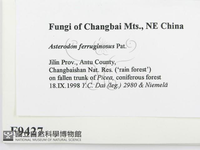 登錄號:F0009427藏品圖，第2張