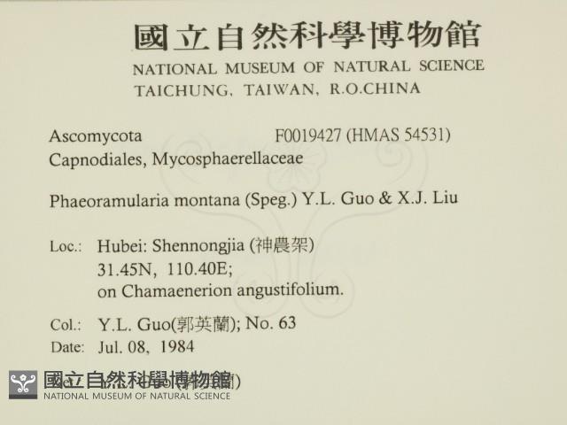 登錄號:F0019427藏品圖，第2張