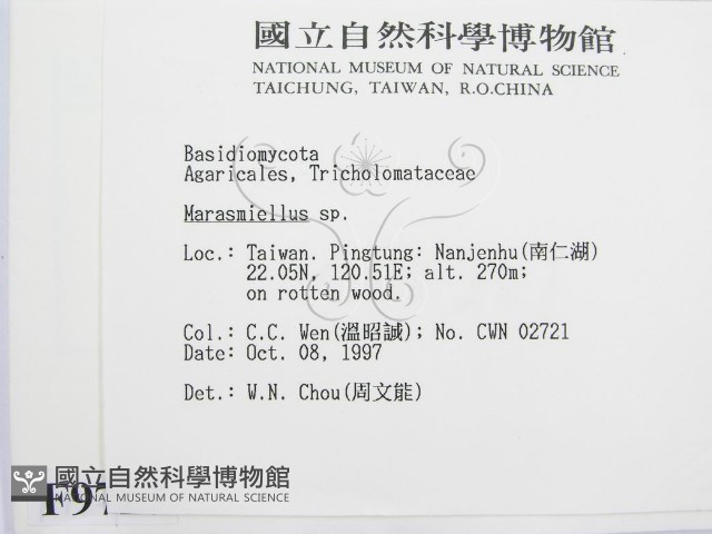 微皮傘屬藏品圖，第2張