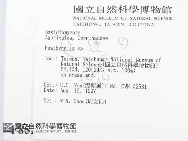 登錄號:F0008527藏品圖，第2張