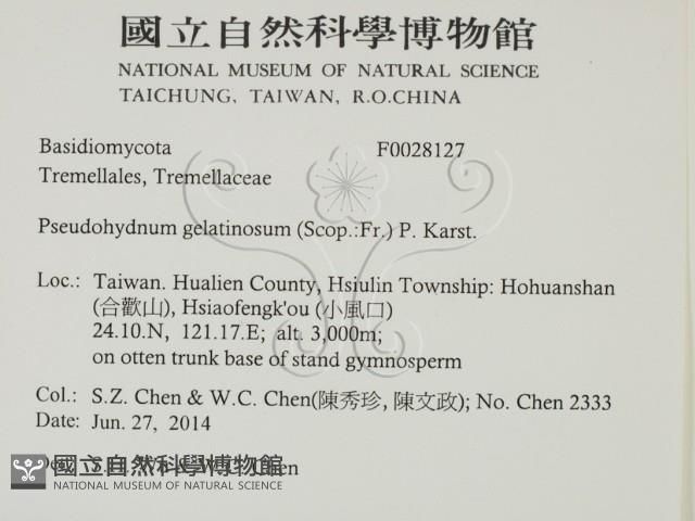 登錄號:F0028127藏品圖，第2張