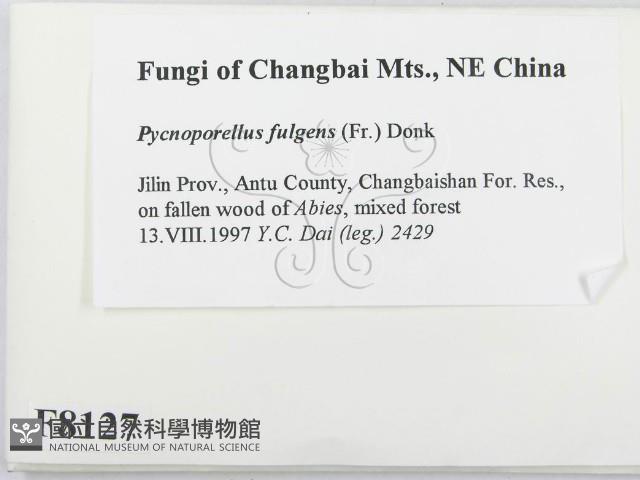 登錄號:F0008127藏品圖，第2張