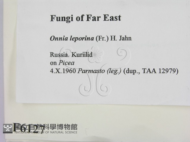 登錄號:F0006127藏品圖，第2張