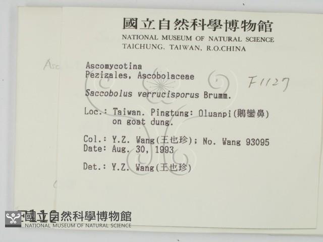 登錄號:F0001127藏品圖，第2張