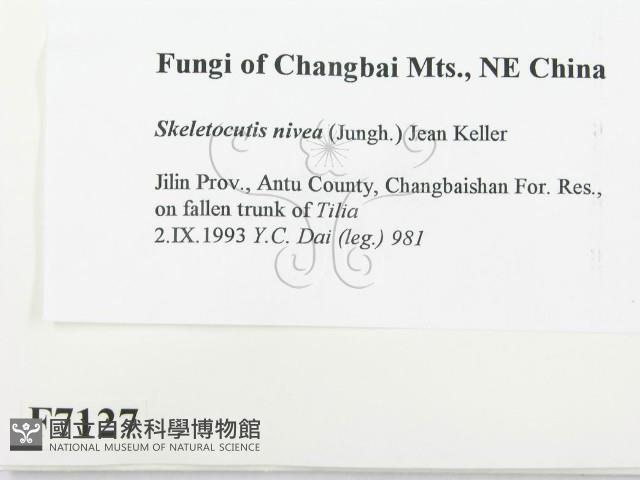 登錄號:F0007127藏品圖，第2張