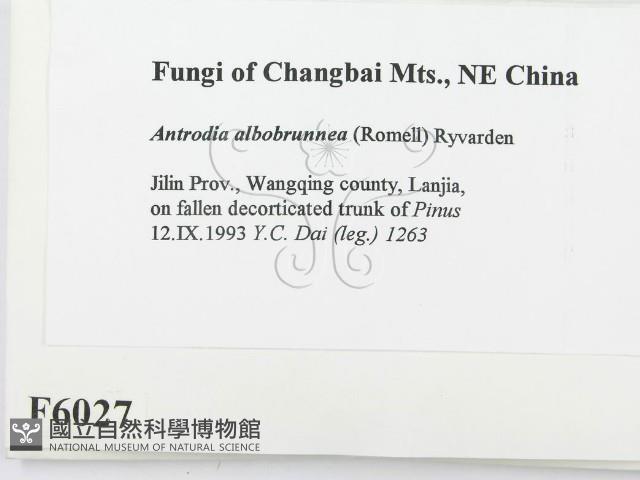 登錄號:F0006027藏品圖，第2張