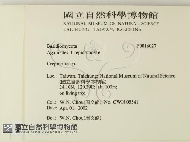 登錄號:F0016027藏品圖，第2張