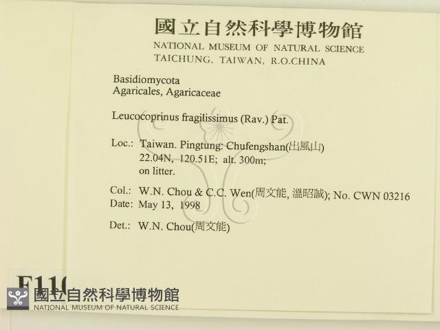 登錄號:F0011027藏品圖，第2張