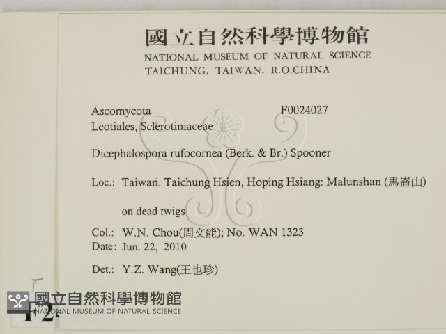 登錄號:F0024027藏品圖，第2張