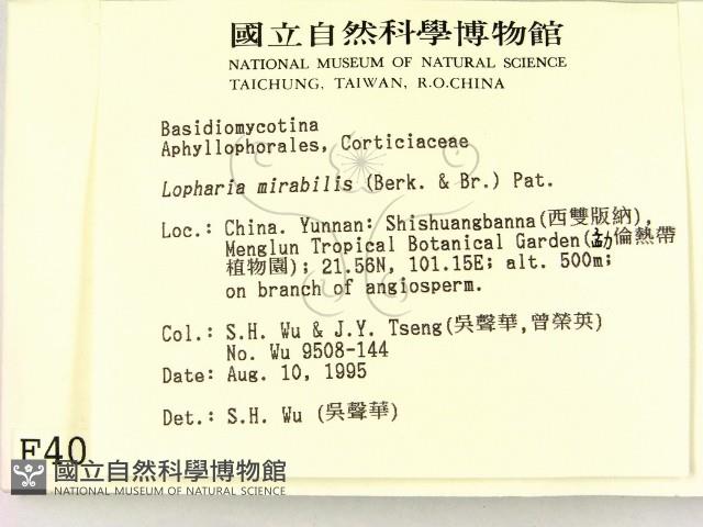 登錄號:F0004027藏品圖，第2張