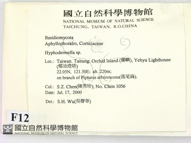 登錄號:F0012027藏品圖，第2張