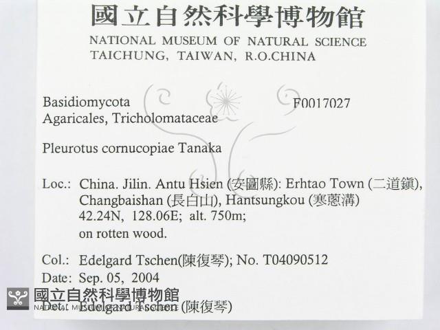 登錄號:F0017027藏品圖，第2張